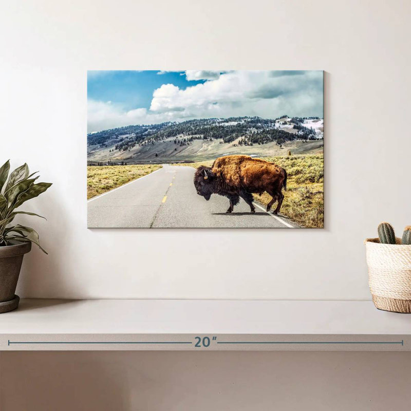 American Bison Crossing, H 8 po x l 12 po