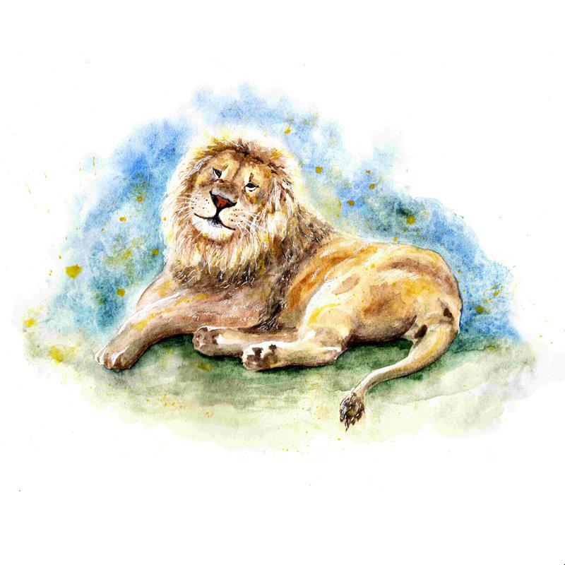 Lazy Lion - Peinture, H 12 po x l 12 po, Non, Toile tendue