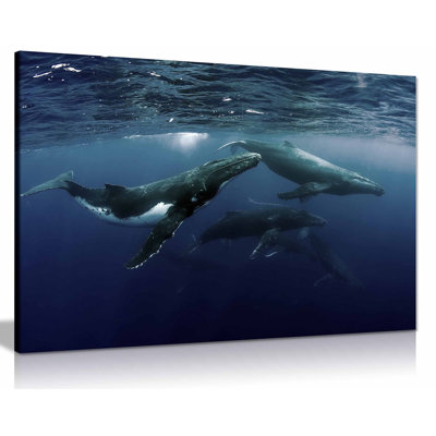 Humpback Whale Ocean 2 - Wrapped Canvas Print