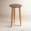 Lessing 14" Mango End Table