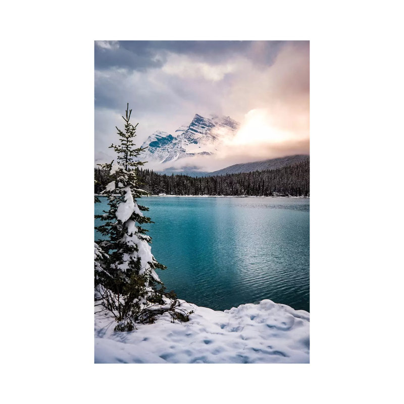 Winter Wonderland by Lucas Moore - Wrapped Canvas Print, 20.32 cm H x 30.48 cm W