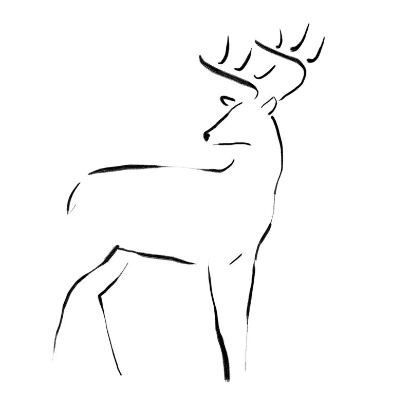 " Contour Deer ", 20" H x 20" W  