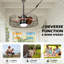 Ventilateur de plafond 24 po Wet