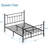 Kempst Steel Piece Bedroom Set-555792855-564286838