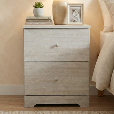Blaklee Modern 23.7" 2-Drawer Nightstand