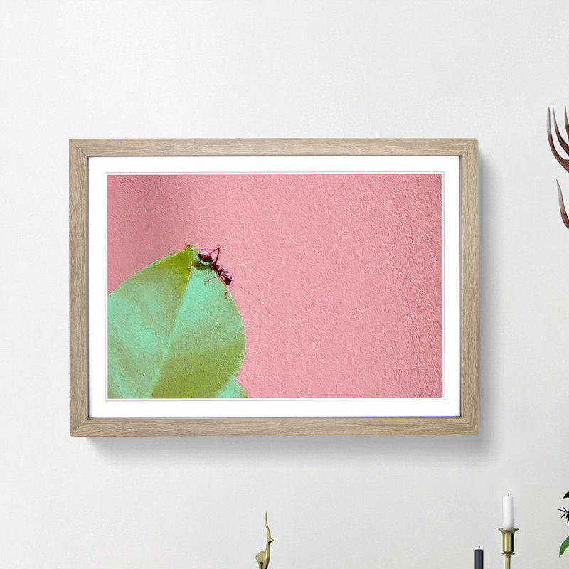 Red Ant - Picture Frame Photograph Print, Oak Framed, 27cm H x 36cm W x 2cm D