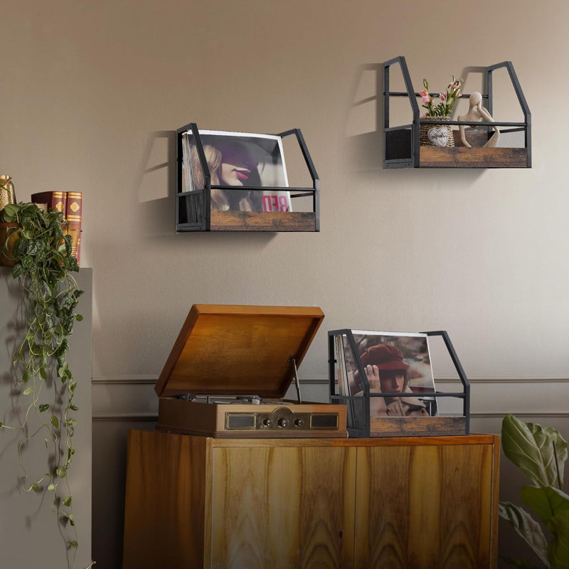 Vinyl Record Storage, 2 Pack Record Holder