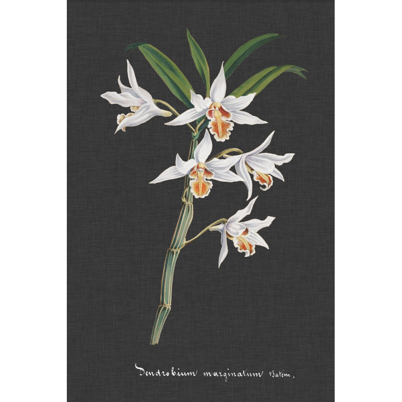 Orchid on Slate IV 1 Piece Wrapped Canvas Painting, 91cm H x 61cm W