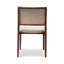 Modern Brazilian Upholstered Dining Chair-1998394875