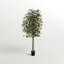 Arbre à feuillage 66 po en pot-2142900436
