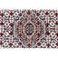 Wool Oriental Area Rug in Ivory-72450124
