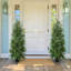 Arbre de Noël en pin Real Touch Norfolk résistant aux rayons UV avec pommes de pin réalistes et branches pleines-96762264-99232543