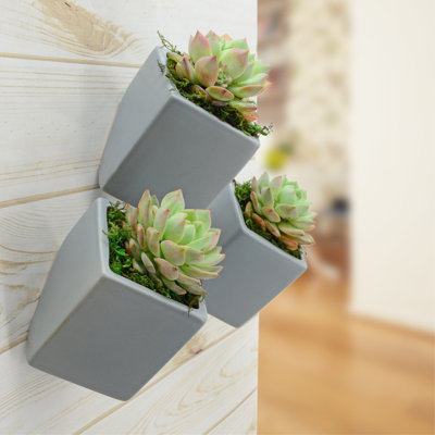 Farmington Ceramic Wall Planter