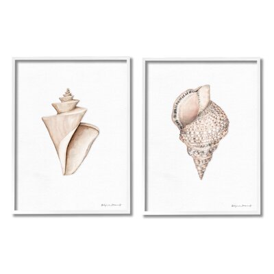 Tranquil Spiral Sea Shells Soft Marine Life Illustration 2Pc Oversized White Framed Giclee Texturized Art Set By Stephanie Workman Marrott -  Stupell Industries, a2-257_wfr_2pc_24x30