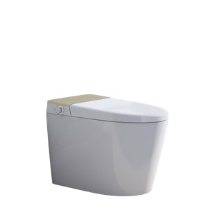 Toilette intelligente avec siège de bidet intégré, toilette sans réservoir avec ouverture automatique, fermeture et chasse d'eau, siège chauffant, affichage numérique, télécommande, allongée