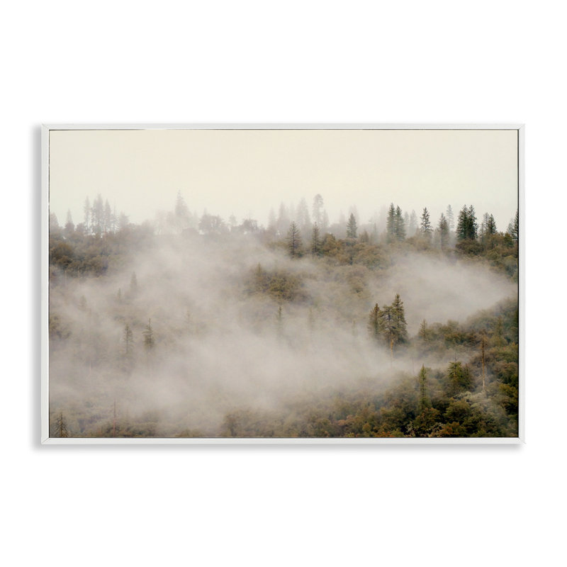 «Morning Fog over Trees», estampe numérique, design par Gemma Bardot, H 16 po x l 24 po, Giclée encadrée blanc bord de mer