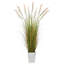 Herbe de blé artificielle en pot-1922885106-1922885107