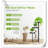 Hermilo Solid Wood Plant Stand 4 Tier