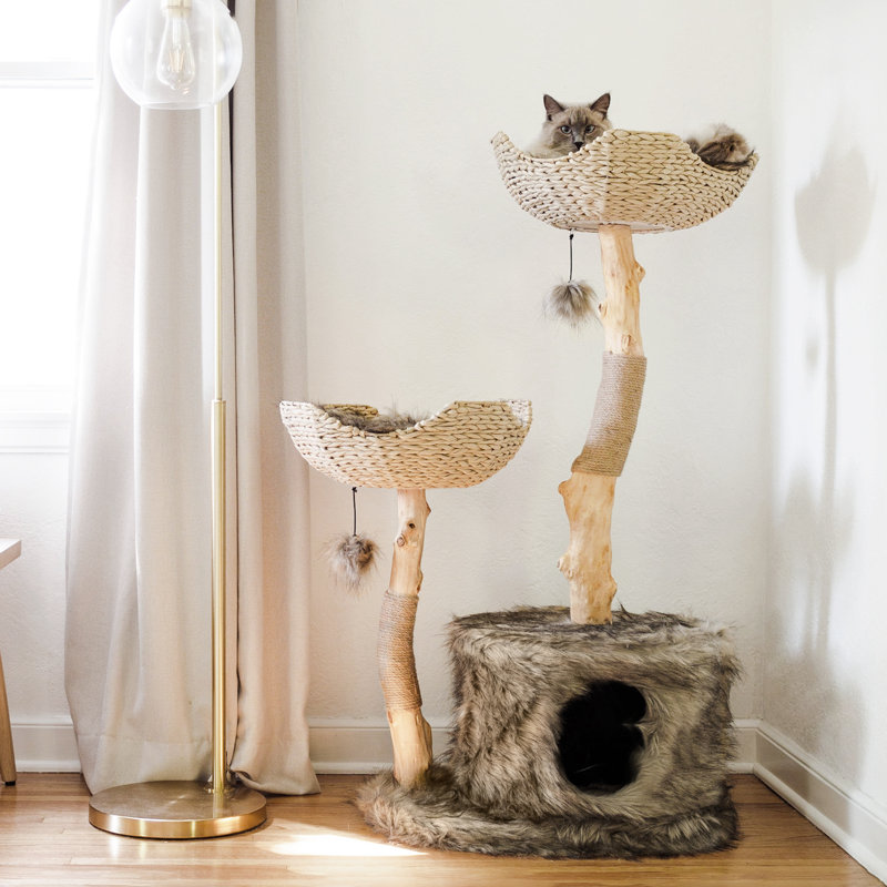 Arbre à chat 46 po Seeman, Brun