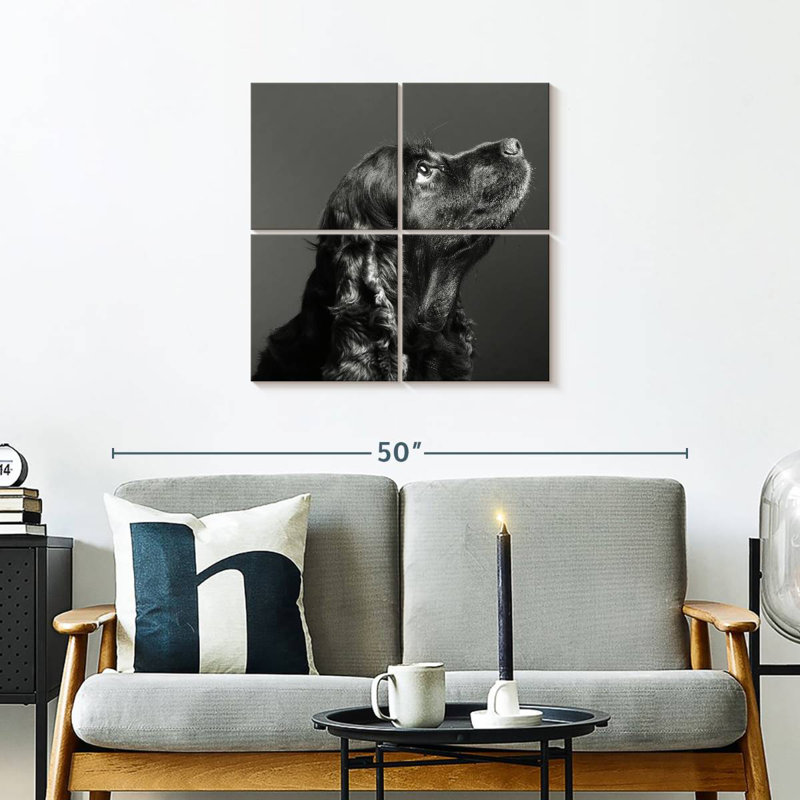 Brampt Shiny Black Dog