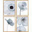 Gros plan duo de fleurs de magnolia bleu pastel - ensemble de 4 reproductions de cadres photo simples-97762588-97762587