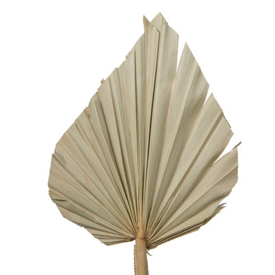 Preserved Arrangement