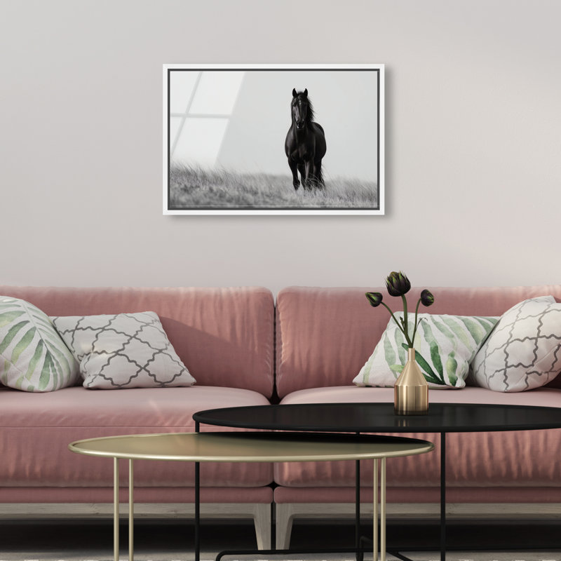 Lone Stallion I Print, 11" H x 16" W, White Floater Frame
