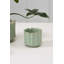 Pot Everleaf - moyen