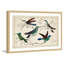 «Hummingbirds», reproduction encadrée-18829401