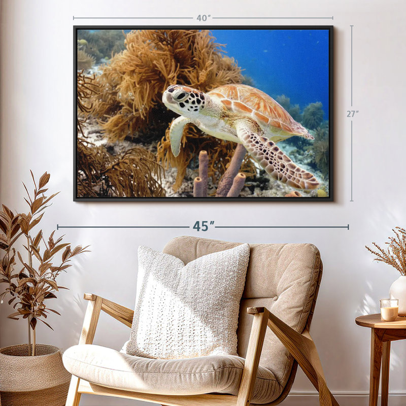 Turtle Reef Canvas Print, 27" H x 40" W
