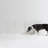 Low Zig Zag Freestanding Pet Gate-101688915