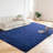 Shahen Indoor Rug-2117489492