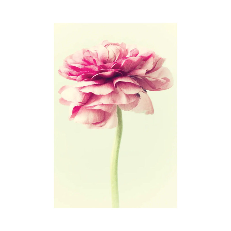 Lush Botanical I by Judy Stalus - Wrapped Canvas Gallery-Wrapped Canvas Giclée, 45.72cm H x 30.48cm W