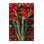 Washable Red Yucca Southwestern Area Rug