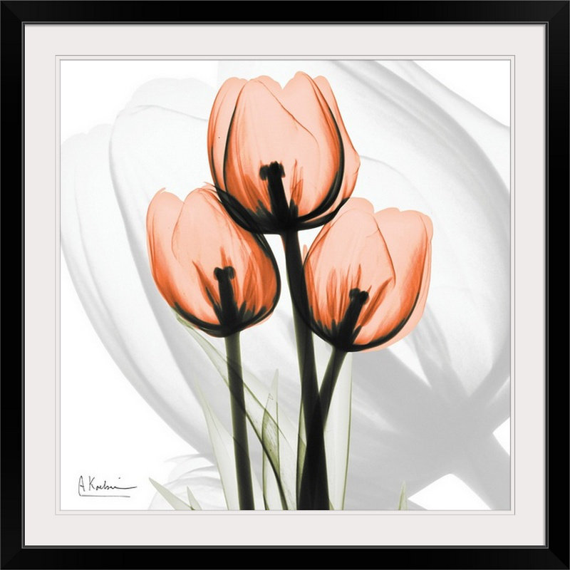 'Tulips X-Ray by Albert Koetsier Photographic Print Ebern Designs 