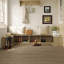 Armoire multifonctionnelle avec 4 tablettes