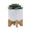 Pot à fleurs de 5 po avec support en bois, blanc - idéal pour planter des plantes grasses et rehausser la décoration extérieure