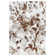 Shine White/Brown Rug