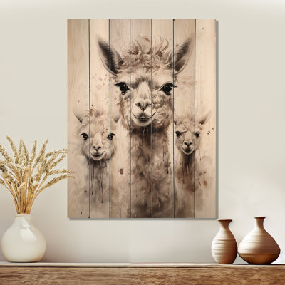Laine d'alpaga grise Grace II - Alpaga sur bois