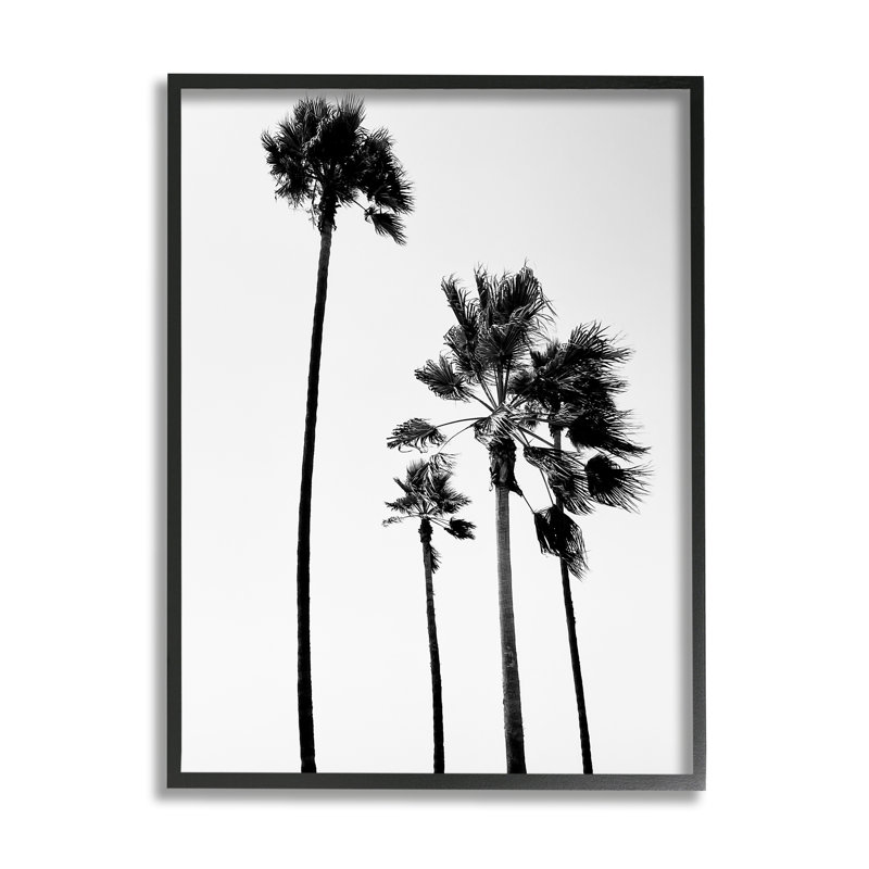 Black Framed Palm Trees Canvas Print, 16 x 20 inches