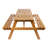 Shoreham 55" Classic Eucalyptus Wood Outdoor Picnic Table with Built-In Benches and Umbrella Hole, Teak Brown for Patio and Backyard-96428907-119308096