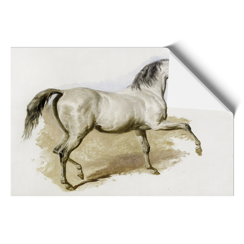 Study Of A Grey Arab Horse by John Frederick Herring - No Frame Painting, 21cm H x 30cm W x 0.1cm D