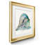 Malecon Shell I - Étude nautique antique, encadrée sous verre acrylique, lot de 2, décoration murale côtière pour salon-1261352934-1261352938-1261352935