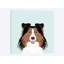 Shetland berger, impression sur toile tendue-19741983-74740430-74740431