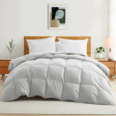  Édredon en fibre de duvet synthétique toutes saisons doux - Insert de couette douillet et moelleux avec pattes de coin pour un ajustement sûr