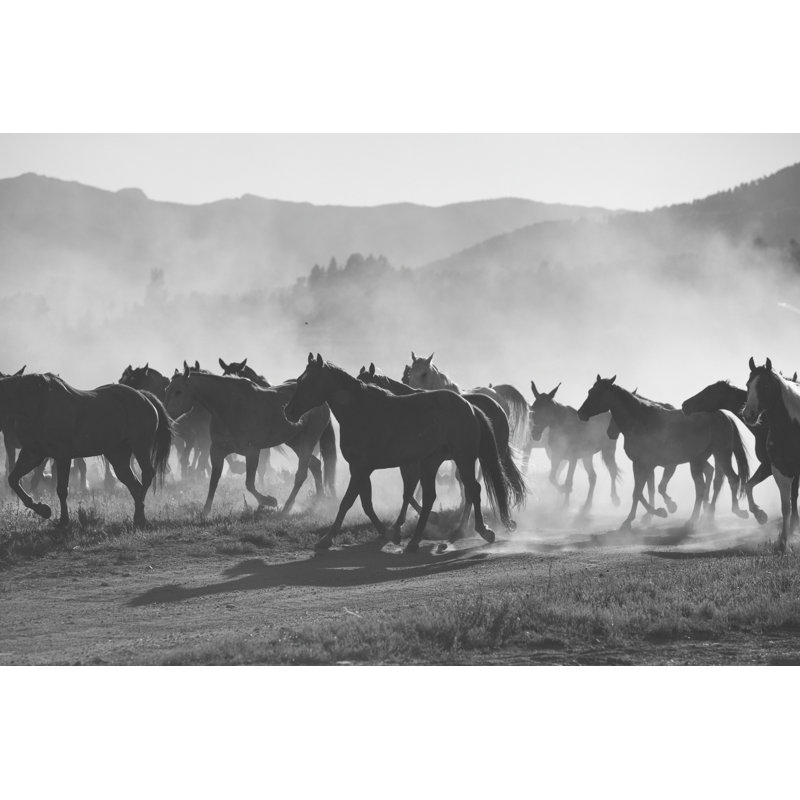 Horses by Xavierarnau - Wrapped Canvas Print, 20cm H x 30cm W