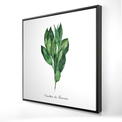 Bay Leaves Bundle-en Print On Canvas