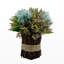 Topiaire hortensia sur pied 10 po