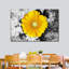 Gerbera Daisy Pop, reproduction sur toile-938976511