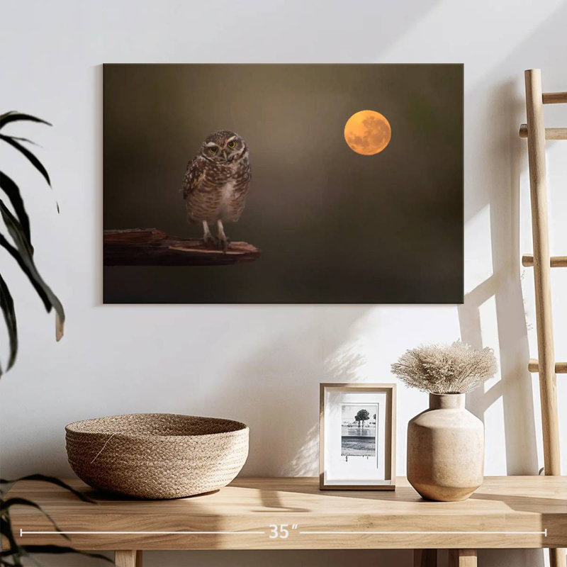 Owl Under The Moon, 16" H x 24" W